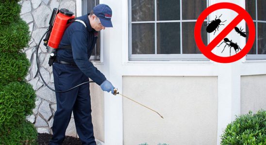 Kaş Kene İlaçlama böcek ilaçlama ve haşere kontrolü — ilaclama-tr.com